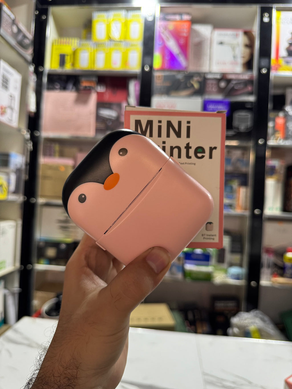 Panda Mini Ink-Less Charging Printer