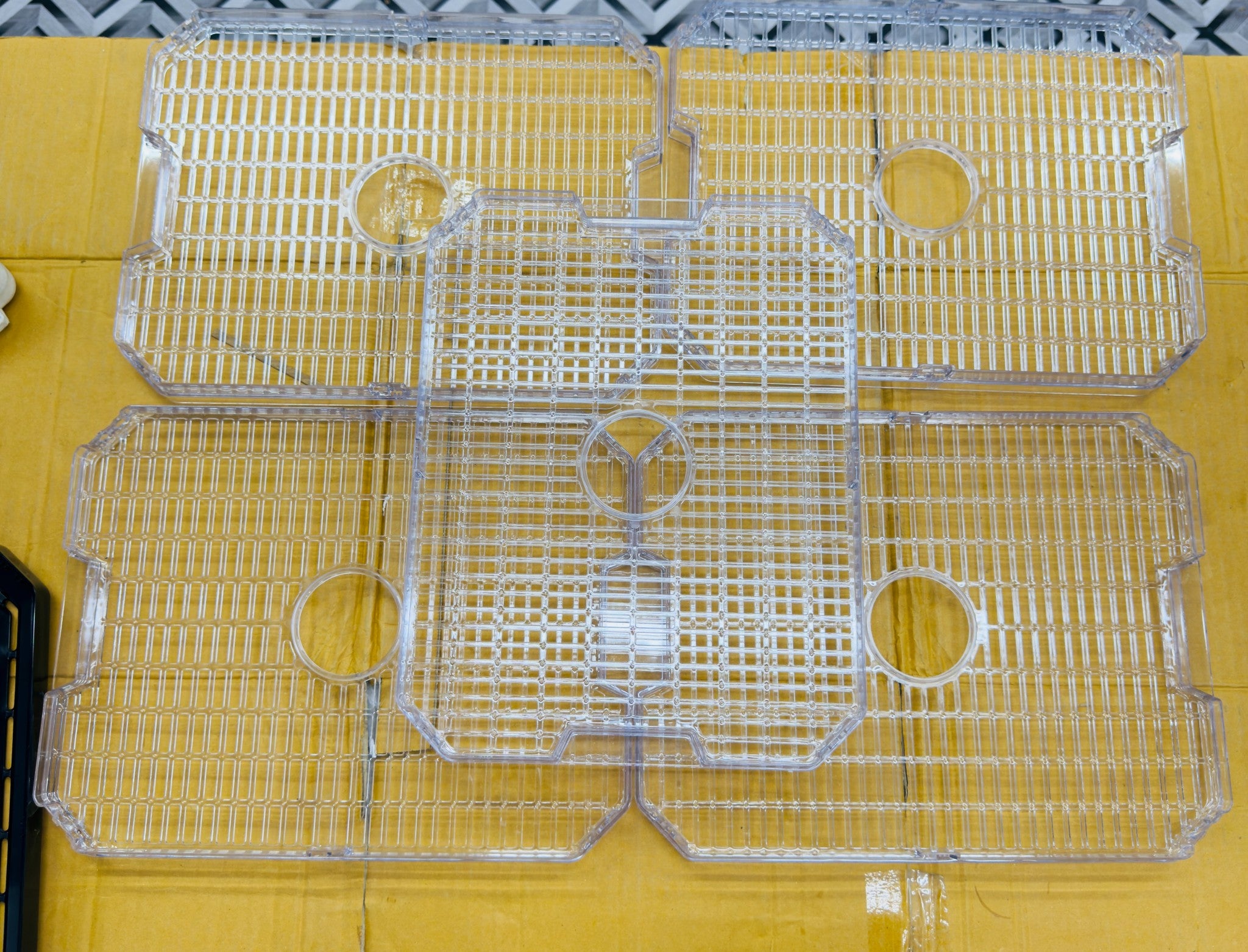 Geepas Digital Food Dehydrator GFD63013N